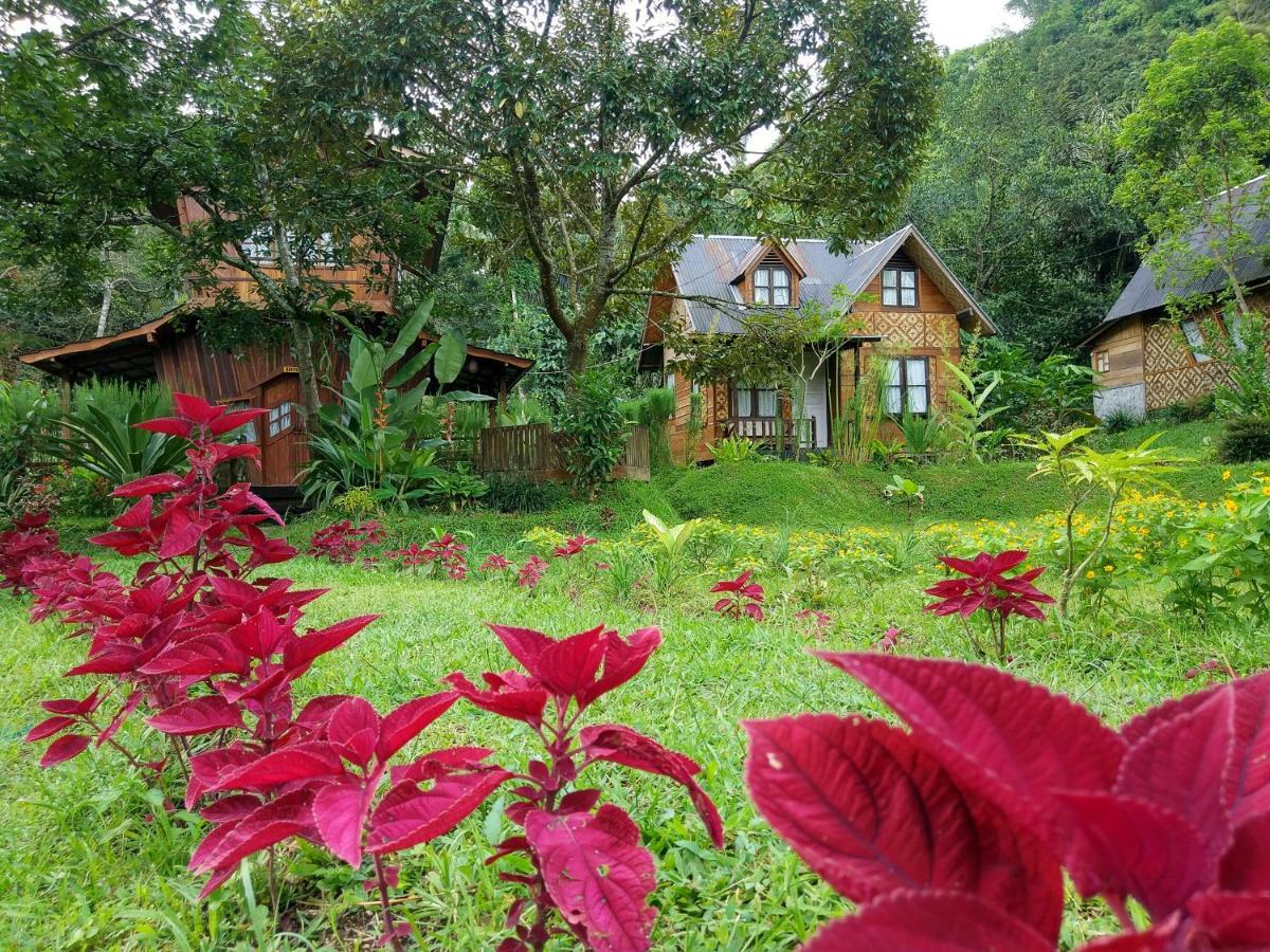 Canyon Jungle Stay ブキティンギ エクステリア 写真