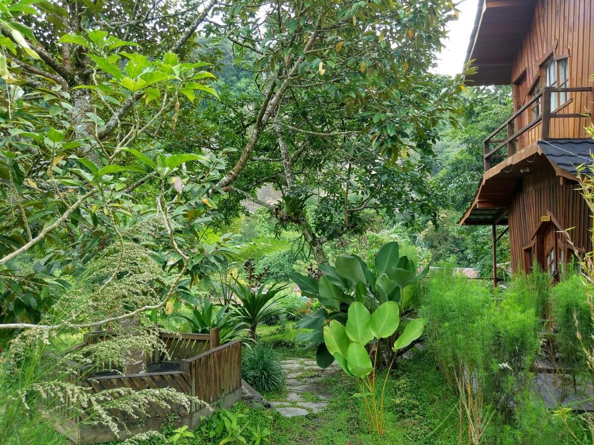Canyon Jungle Stay ブキティンギ エクステリア 写真