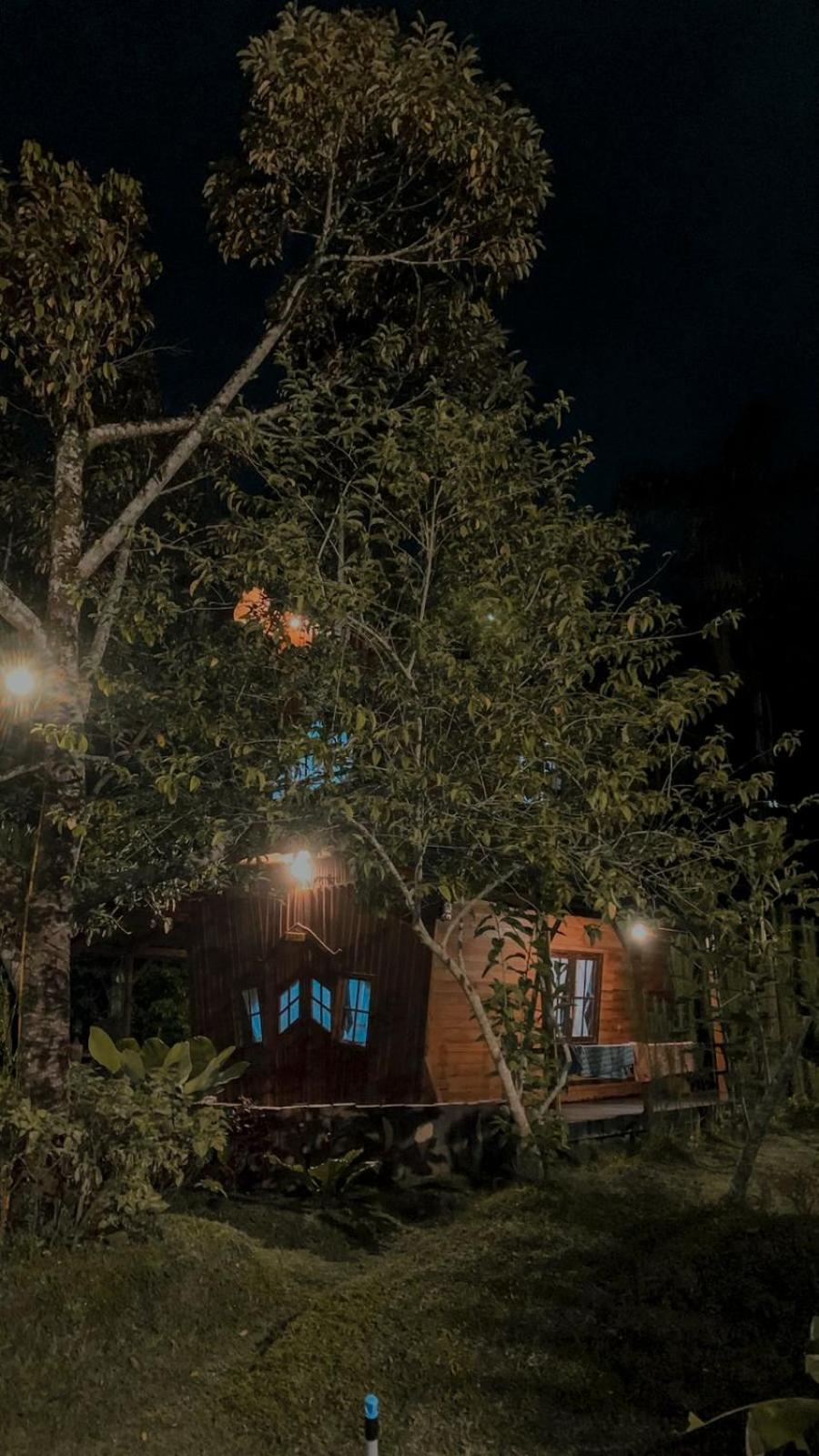 Canyon Jungle Stay ブキティンギ 部屋 写真